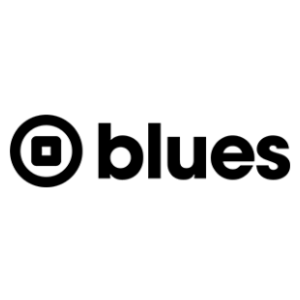 Image of Blues Wireless color logo