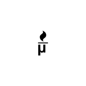 Image of Microfire LLC color logo