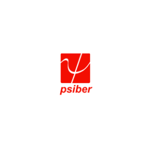 Image of Psiber Data Systems, Inc. color logo