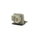 MIKROE-2871