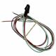 1001012 1001012